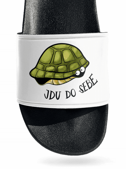 Jdu do sebe