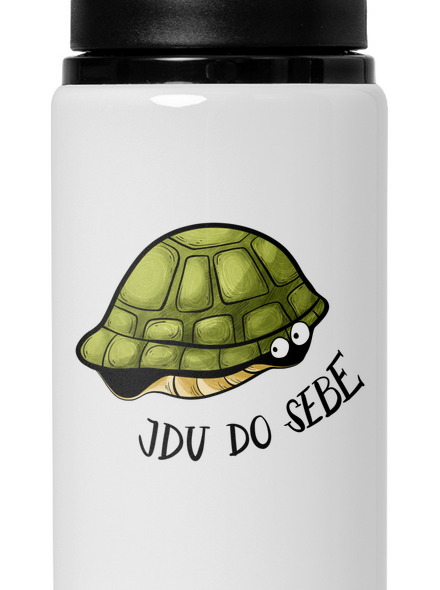 Jdu do sebe