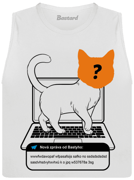 Kočka na klávesnici