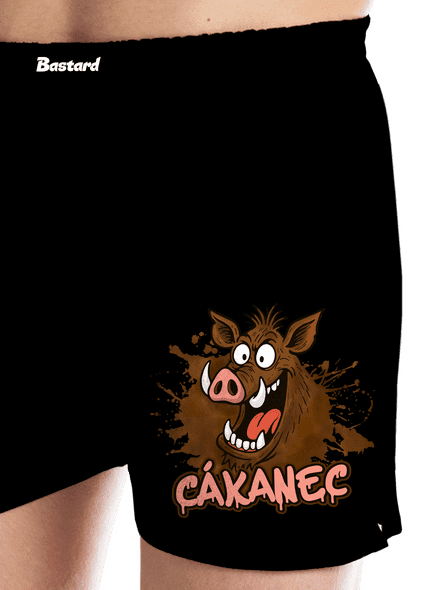 Cákanec