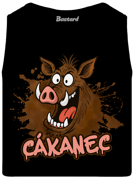 Cákanec