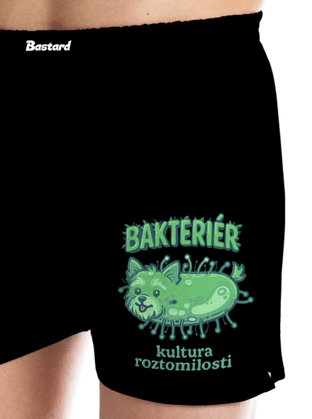Bakteriér