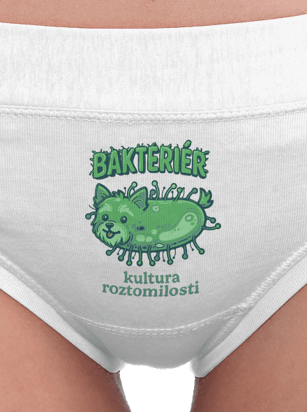 Bakteriér