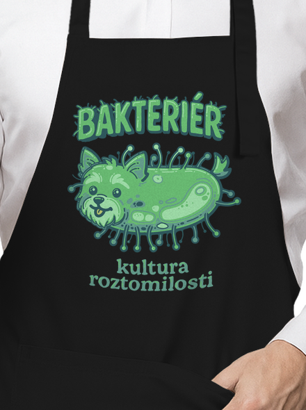 Bakteriér