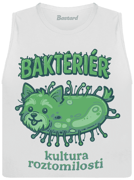 Bakteriér