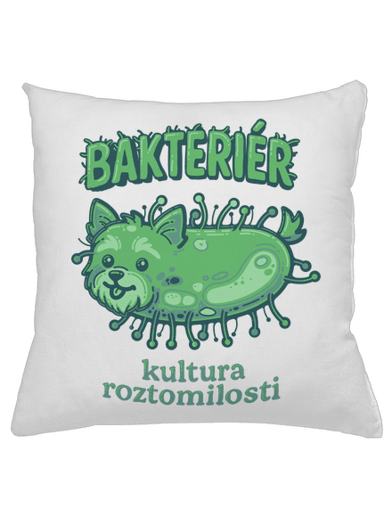 Bakteriér