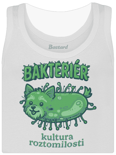 Bakteriér