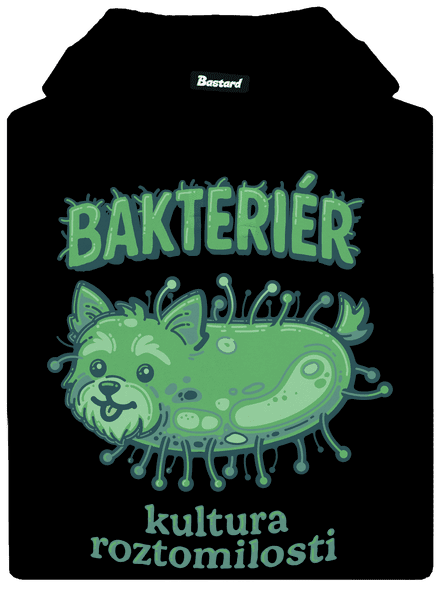 Bakteriér