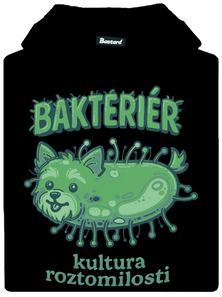 Bakteriér