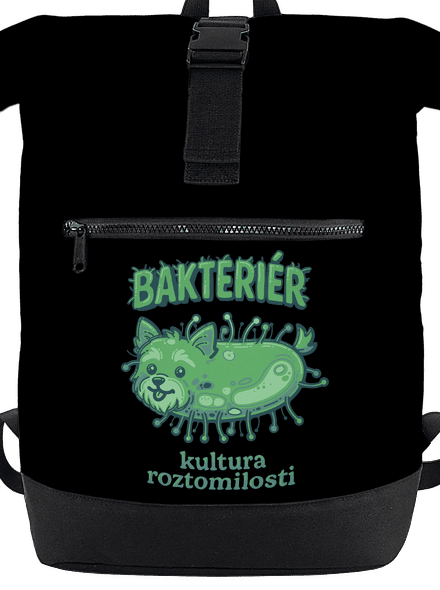 Bakteriér