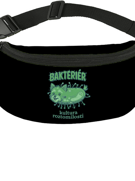 Bakteriér