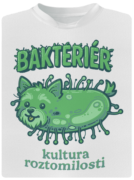 Bakteriér