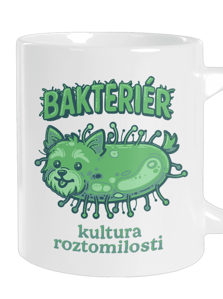 Bakteriér