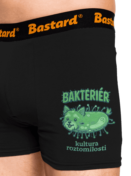 Bakteriér