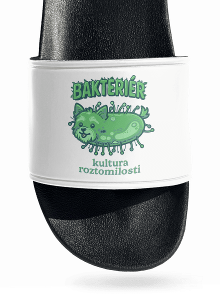Bakteriér