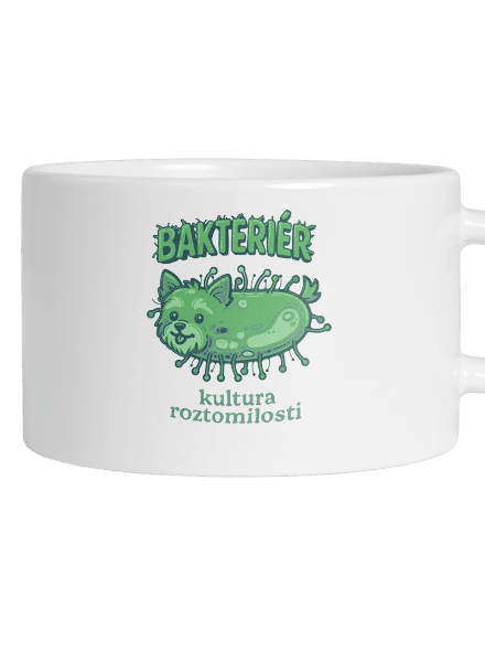 Bakteriér