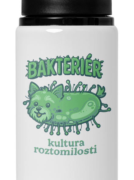 Bakteriér