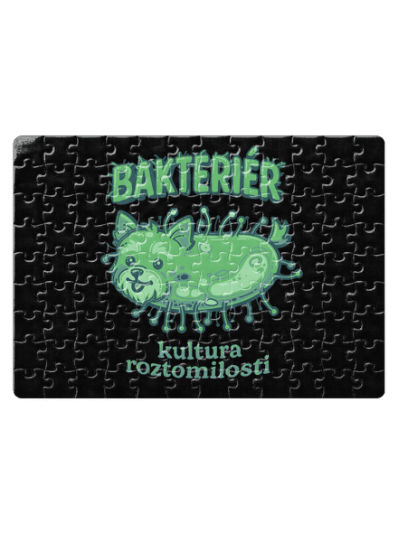 Bakteriér