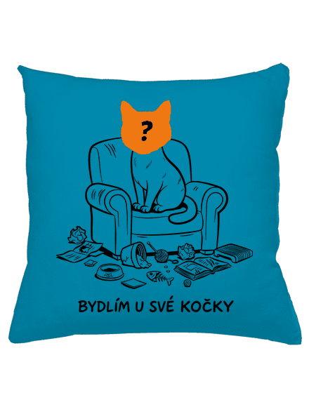 Bydlím u své kočky