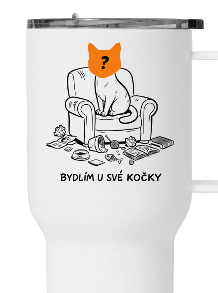 Bydlím u své kočky