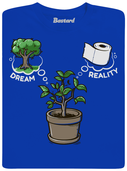 Dreams