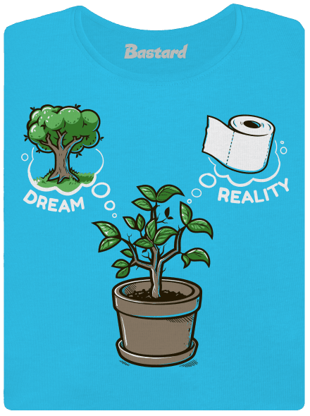 Dreams