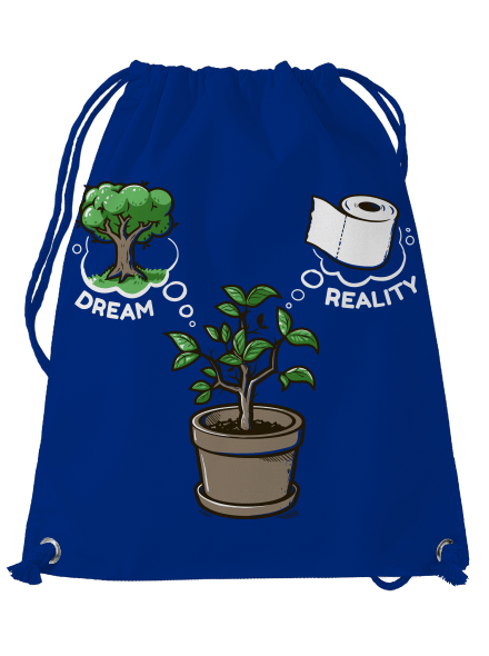 Dreams