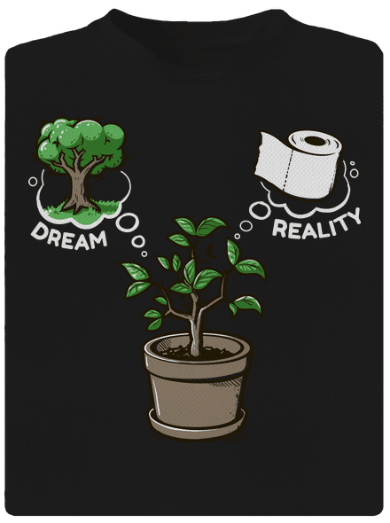 Dreams