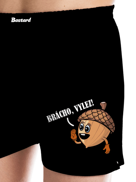 Brácho, vylez