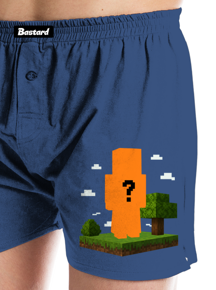 Minecraft z vlastní fotky