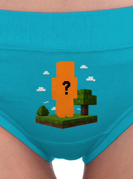 Minecraft z vlastní fotky
