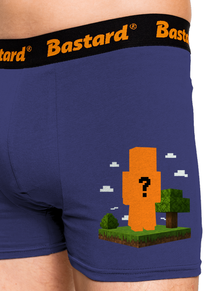 Minecraft z vlastní fotky