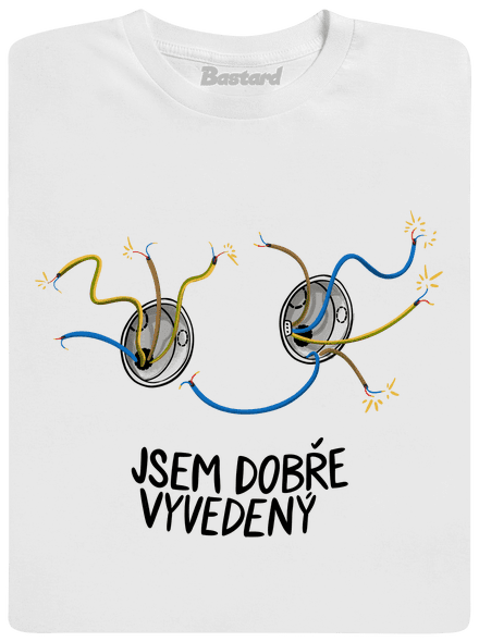 Jsem dobře vyvedený