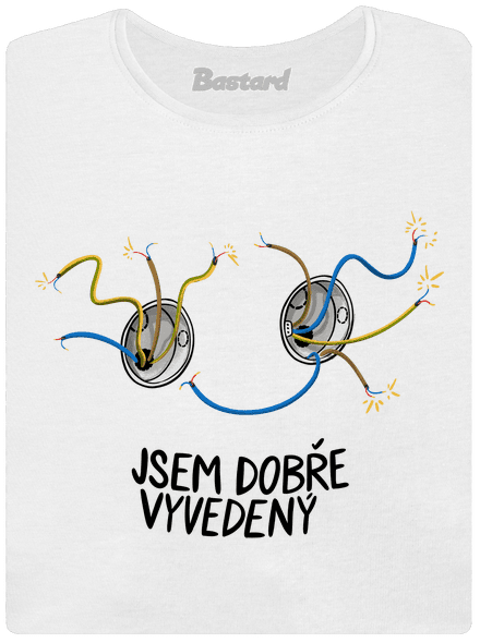 Jsem dobře vyvedený