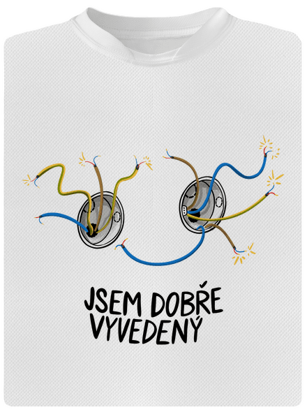 Jsem dobře vyvedený
