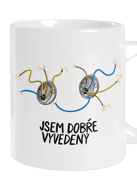 Jsem dobře vyvedený