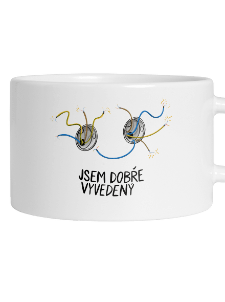 Jsem dobře vyvedený