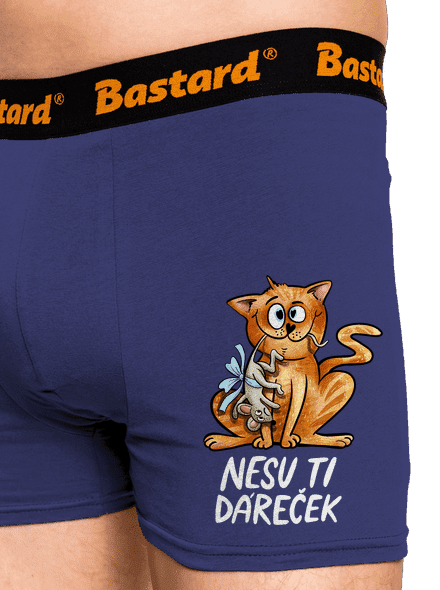 Nesu ti dáreček 