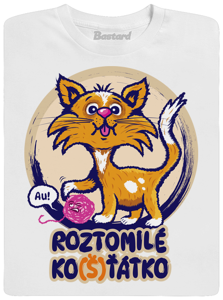 Košťátko