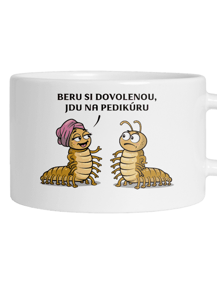 Jdu na pedikúru