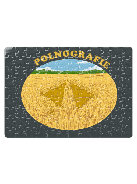 Polnografie