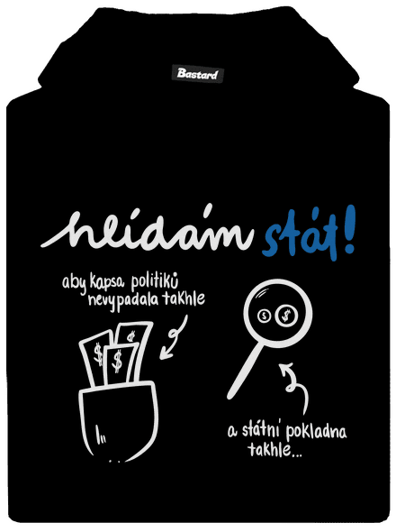 Hlídám stát