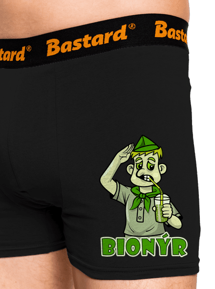 Bionýr
