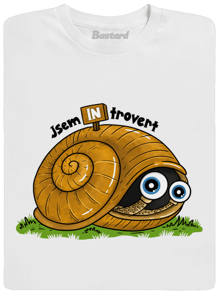 Jsem introvert