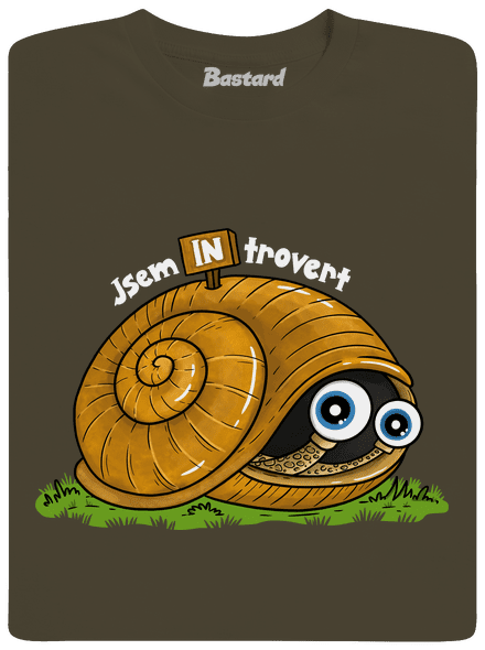 Jsem introvert