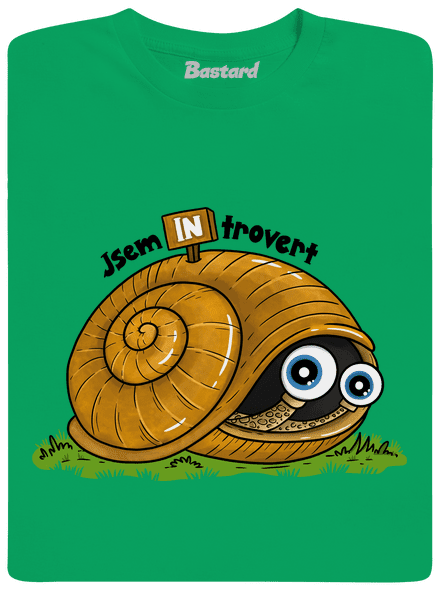 Jsem introvert