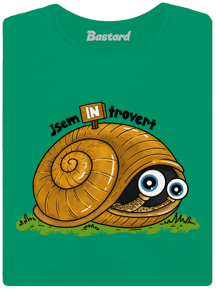 Jsem introvert