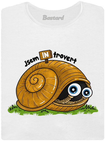Jsem introvert