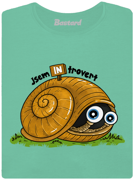 Jsem introvert
