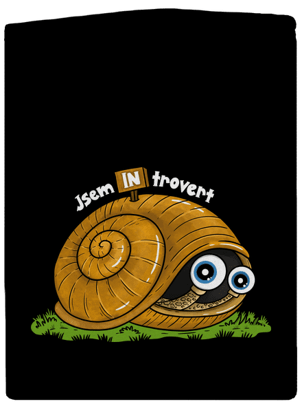 Jsem introvert